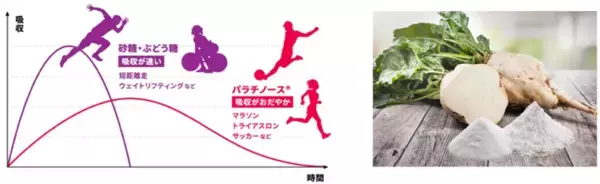 「プロランナー神野大地さんによるランクリニック&トークイベントをAlpen TOKYOで1月12日（月・祝）に開催！」の画像