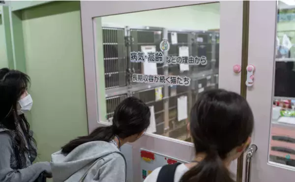 「【金城学院大学】カプセルから、ねこのおやつ！？学生制作のオリジナル販売機で地域猫を支援」の画像
