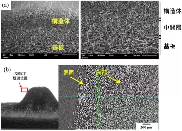 「【龍谷大学】『絡み合う』だけで材料になる　―短炭素繊維の新しい3D成形法を開発―　」の画像