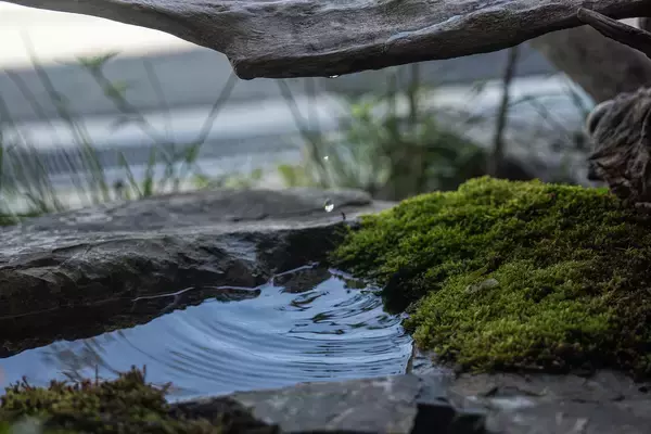 「経年美化「エイジング」の趣～時を重ねて美が深まる集合住宅～」の画像