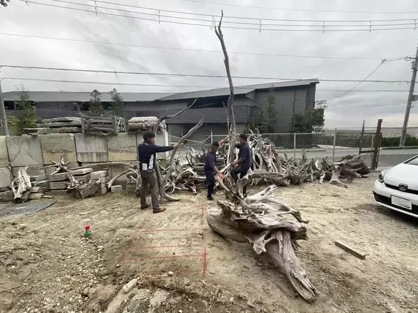 「経年美化「エイジング」の趣～時を重ねて美が深まる集合住宅～」の画像