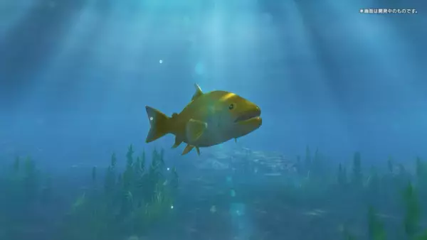 「Nintendo Switch 2・Nintendo Switchソフト『ぼくと釣り日記』初公開のゲーム画面を含む新PV4本を一挙公開！」の画像