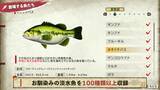 「Nintendo Switch 2・Nintendo Switchソフト『ぼくと釣り日記』初公開のゲーム画面を含む新PV4本を一挙公開！」の画像5