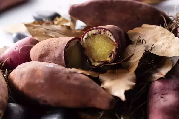 「食欲の秋満喫！東京ミッドタウン日比谷で”秋の味覚狩り”旬の芋・栗を使用した秋メニューのおすすめをご紹介」の画像