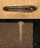 「NEDO「経済安全保障重要技術育成プログラム（K-Program）高度な金属積層造形システム技術の開発・実証」に採択」の画像3