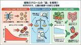 「【埼玉医科大学】植物ステロールパラドックスの正体に迫る ― 動脈硬化への「有益性」と「悪影響」の矛盾に対する定量的再検証」の画像1