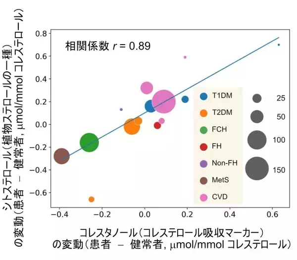 「【埼玉医科大学】植物ステロールパラドックスの正体に迫る ― 動脈硬化への「有益性」と「悪影響」の矛盾に対する定量的再検証」の画像