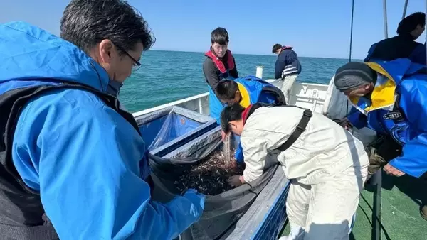 近畿大学と新潟県立海洋高校が高大連携で取り組む海づくり　育てたノドグロ稚魚約1,500尾を日本海に放流