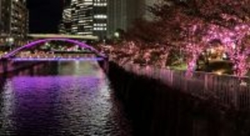 「目黒川みんなのイルミネーション2025」へ食品用紙カップの新感覚アップサイクル体験ブースを出展