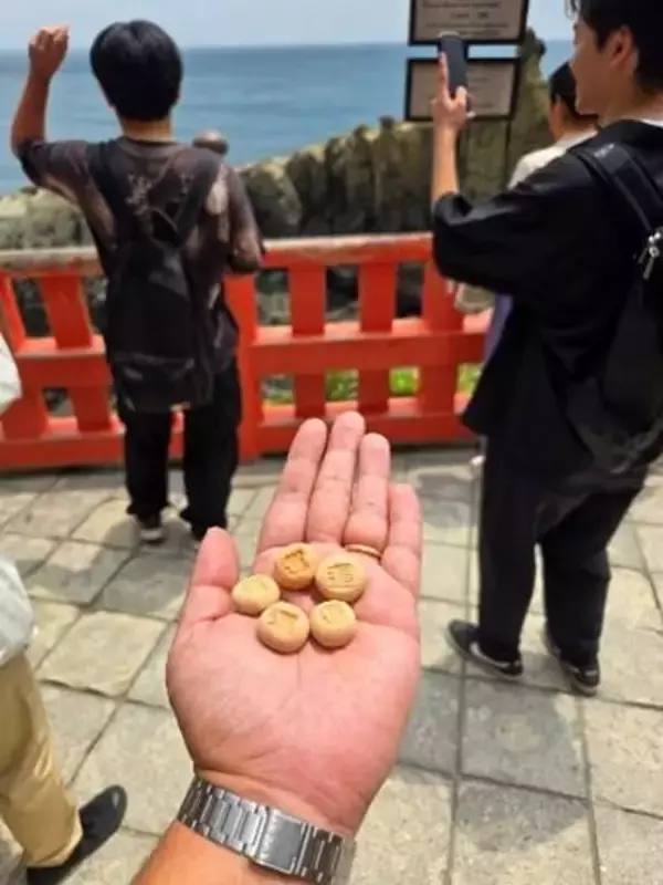 「淑徳大学×ソラシドエア×宮崎県7自治体×多摩大学との産官学連携 最終発表会を実施　～一年間の実践を通じて、航空を通じた地方創生を提案 ～」の画像