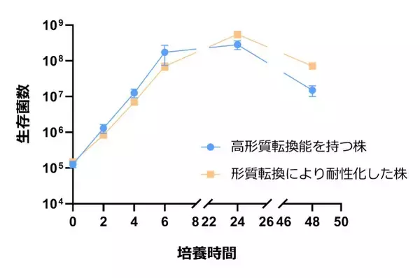 「【名城大学】薬剤耐性拡大の新たな要因を解明　― 高度な形質転換能を持つインフルエンザ菌が耐性遺伝子の伝播を促進する―」の画像