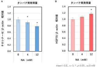トラネキサム酸とナイアシンアミドの併用によるメラニン生成抑制効果とナイアシンアミドの新規作用機序を解明