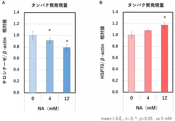 トラネキサム酸とナイアシンアミドの併用によるメラニン生成抑制効果とナイアシンアミドの新規作用機序を解明