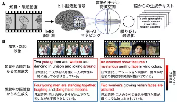 「心に思い浮かべた映像を言葉に変換する脳解読技術「マインド・キャプショニング」を実現～言葉を使わずに考えを伝える新たなコミュニケーション手段を開拓～」の画像