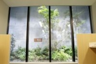 地下空間に“まるで地上”の光を再現する⾃然光模擬照明、脳波測定によりリラックス・集中⼒向上効果を実証