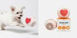 「共創型M&AのMOON-X、韓国発ペットケアブランド「buddyboo」を運営するProfounder社と統合」の画像3