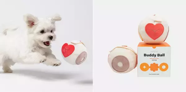 「共創型M&AのMOON-X、韓国発ペットケアブランド「buddyboo」を運営するProfounder社と統合」の画像