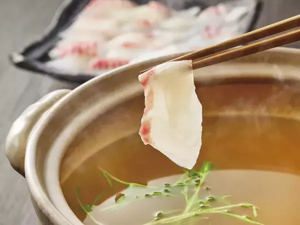 「【しゃぶしゃぶ温野菜】春の門出を彩る「鯛しゃぶ」登場！愛媛県産の鯛をさっとおだしにくぐらせて味わう贅沢〜はまぐり香る“特製黄金だし”×春野菜で楽しむ「山形恵み豚しゃぶ」も同時展開〜」の画像