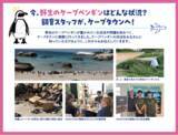 「【京都水族館】4月25日「世界ペンギンの日」記念ケープペンギンの生息地視察報告トークセッション開催」の画像4