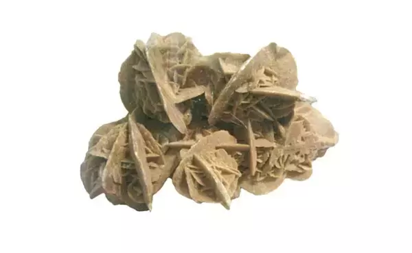 令和7年度立正大学博物館記念展「沙漠の秘宝」のご案内