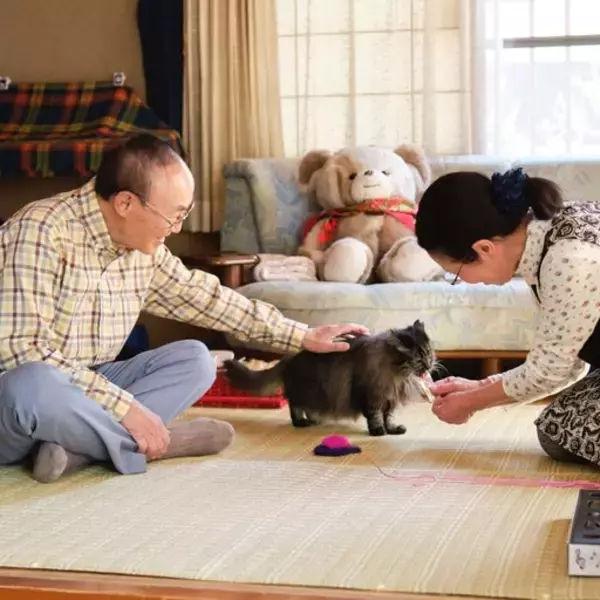 「超高齢社会における新しい動物福祉モデル高齢者が高齢の保護犬猫を迎える「アニドネ シニア for シニア基金」を設立」の画像