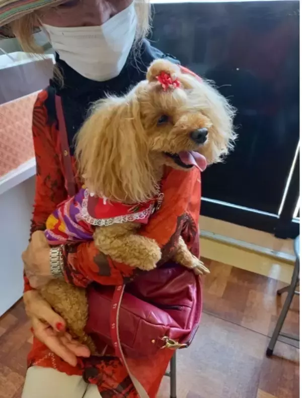 「超高齢社会における新しい動物福祉モデル高齢者が高齢の保護犬猫を迎える「アニドネ シニア for シニア基金」を設立」の画像