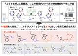 「【横浜市立大学】「ごちゃまぜ法」でペプチドを修飾する新規酵素を一挙に探索」の画像2