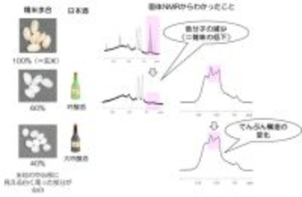 【Food Chemistry誌掲載】 東洋大学の研究グループが日本酒用酒米「山田錦」の心白※1構造を分子レベルで解明～酒米の磨きによって露出する心白デンプンの構造的特徴を分子レベルで可視化
