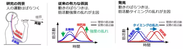 世界初、人の動作の「ばらつき」を生む脳の仕組みを解明 ～医療・スポーツ分野における運動能力の評価・向上への新たな道筋～