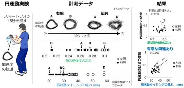 「世界初、人の動作の「ばらつき」を生む脳の仕組みを解明 ～医療・スポーツ分野における運動能力の評価・向上への新たな道筋～」の画像