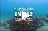 「日本製鉄　伊勢志摩・船越浜で歩みを進める「海の森づくり」藻場再生の最前線を記録した「UMIMORI プロジェクト 伊勢志摩」を公開」の画像3