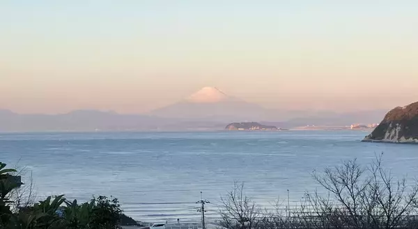 「花めぐりデジタルスタンプラリー」の画像