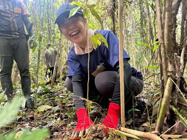 「学生ボランティアがボルネオで累計2万5千本の植林を達成「オランウータンの森再生プロジェクト」」の画像