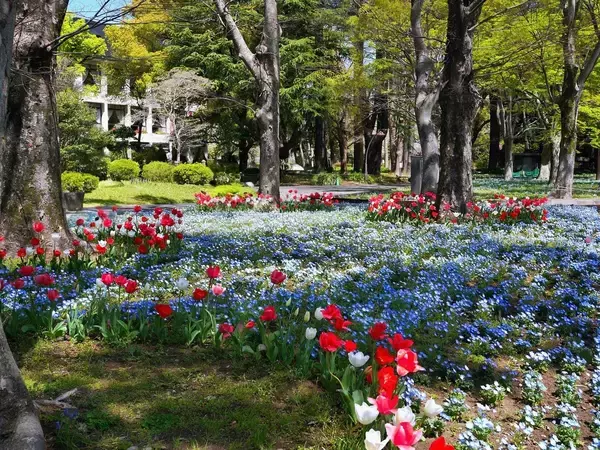 「【東京ミッドタウン日比谷】”花と魔法の祭典”「HIBIYA BLOSSOM 2026」映画『ウィキッド 永遠の約束』の世界が広がるコラボメニュー＆衣装展が決定」の画像