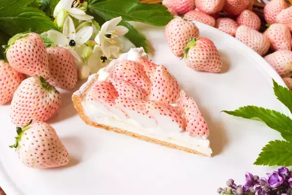 「【キル フェ ボン】全国各地の個性豊かな旬のイチゴが勢揃い！ショーケースを赤く彩る1週間  毎年大人気のフェア「2026 VERY STRAWBERRY」」の画像