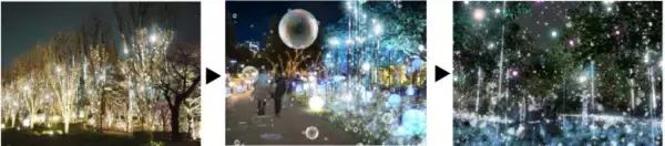 「【東京ミッドタウン】幻想的な雪の世界へ誘う しゃぼん玉イルミネーションが登場！「MIDTOWN CHRISTMAS 2024」　クリスマスムードを高めるツリーやマルシェも復活！」の画像