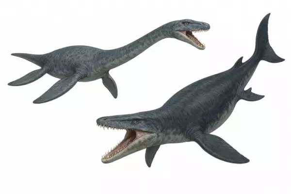 【名古屋大学】ジュラ紀・白亜紀の海棲爬虫類の体温を正確に推定　進化に伴う生息域の変遷を探る手がかりになる可能性