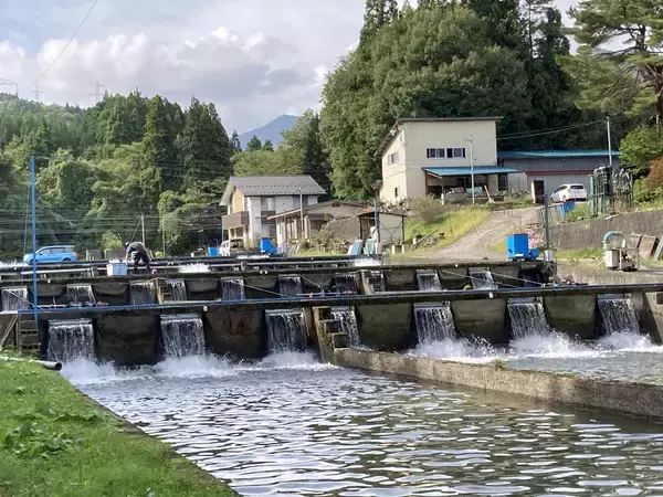 「地理的表示保護制度（GI制度）のプロモーション実証事業に協力　「みやぎサーモン」を使用した特別メニューを全国の社員食堂などで提供」の画像