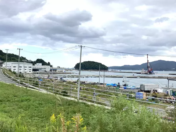 「地理的表示保護制度（GI制度）のプロモーション実証事業に協力　「みやぎサーモン」を使用した特別メニューを全国の社員食堂などで提供」の画像