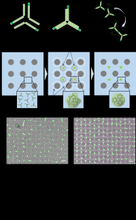 均一サイズの生体分子凝集体の生成・集積制御を実現～マイクロチップの振動により「微小渦群」を発生させDNAナノ構造の凝集体形成制御に応用～