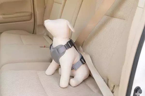 車のシートベルトを通すだけでペットの動きを制限し、安全運転を支える『カーリンク ハーネス』2026年4月下旬 新発売