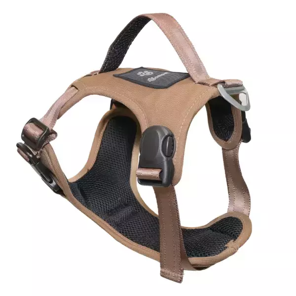 「車のシートベルトを通すだけでペットの動きを制限し、安全運転を支える『カーリンク ハーネス』2026年4月下旬 新発売」の画像