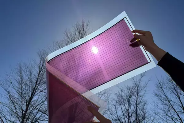 ＤＩＣ、波長選択型有機太陽電池技術がＮＥＤＯ事業に採択