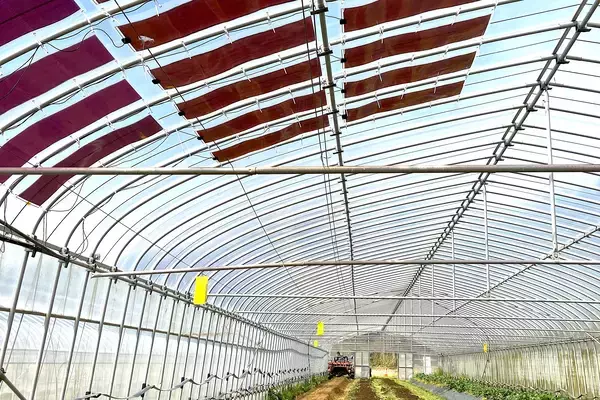 「ＤＩＣ、波長選択型有機太陽電池技術がＮＥＤＯ事業に採択」の画像