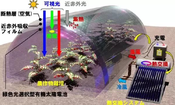 「ＤＩＣ、波長選択型有機太陽電池技術がＮＥＤＯ事業に採択」の画像