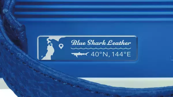 「オーディオテクニカ✕気仙沼の「サメ漁」共創プロジェクトが実現　“シャーク”なデザインのポータブルレコードプレーヤー「SHARK BURGER」3月5日（木）より「Makuake」にて先行販売開始」の画像