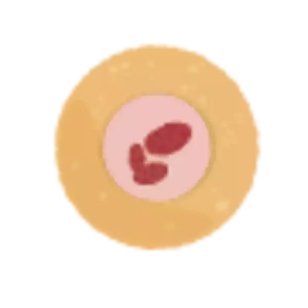 「【万平ホテル】時代を超えて愛される“花柄メニュー”が彩る、クッキー缶の第2弾「万平ホテルフラワークッキー缶・冬」期間限定発売」の画像