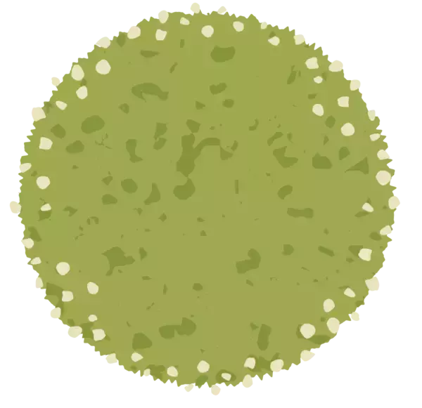 「【万平ホテル】時代を超えて愛される“花柄メニュー”が彩る、クッキー缶の第2弾「万平ホテルフラワークッキー缶・冬」期間限定発売」の画像