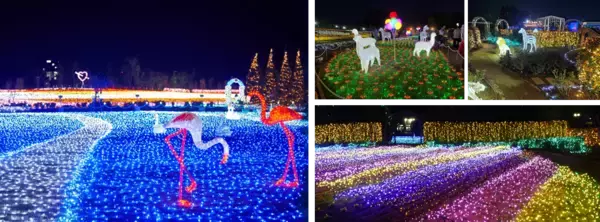 夕方からお得に楽しむ冬の夜！「ウインターイルミネーション2026-2027」10月24日(土)開幕！