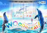 「アクアワールド茨城県大洗水族館のイルカ・アシカオーシャンライブとオーシャンナイトライブ「WOOOOARAI！ーここから始まる、出会いの物語ー」「FLOW A LIFE―鼓動する命の海―」がスタート」の画像3